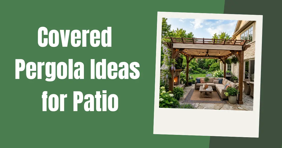 Covered Pergola Ideas for Patio image