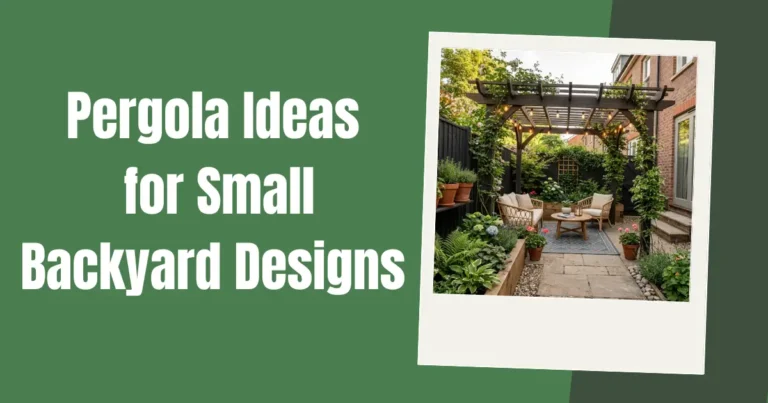 Pergola Ideas for Small Backyard Design image