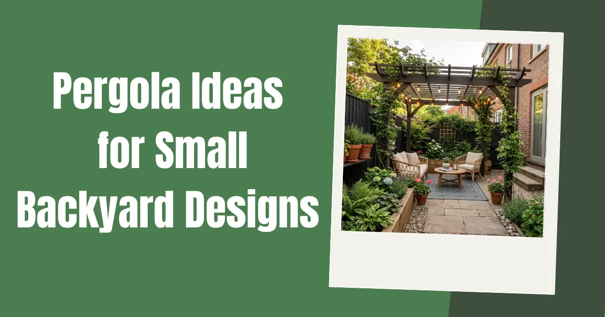 Pergola Ideas for Small Backyard Design image